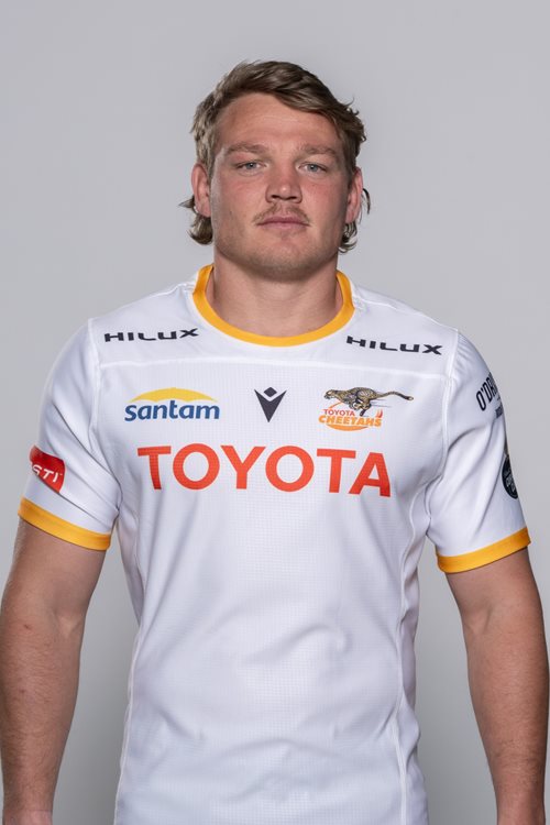 Daniel Maartens
