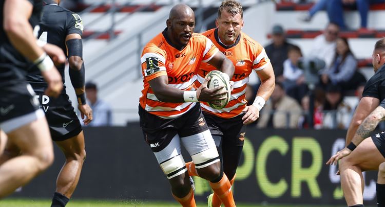 Toyota Cheetahs committed to EPCR Challenge Cup