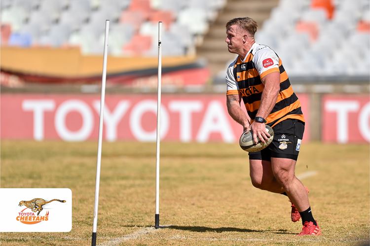 Exciting Green and Gold mix for Castle Lager Springbok Showdown