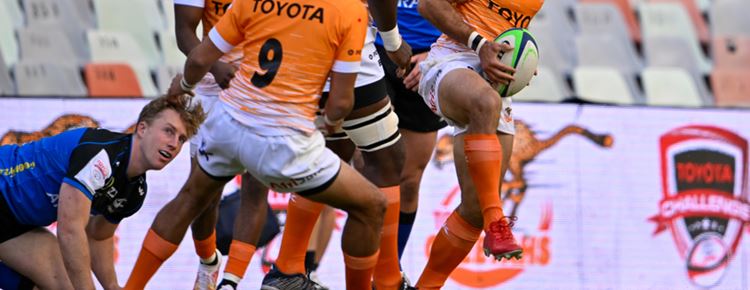Toyota Challenge 2025 Brings International Rugby to Bloemfontein with Toyota Cheetahs vs Black Lion