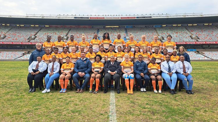 First Division finalists confirmed as WP and Sharks score significant wins