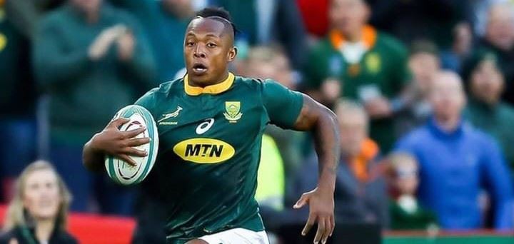 TOYOTA CHEETAHS WELCOME SPRINGBOK WINGER SBU NKOSI TO THE SQUAD Toyota Cheetahs