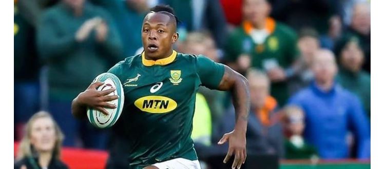 TOYOTA CHEETAHS WELCOME SPRINGBOK WINGER SBU NKOSI TO THE SQUAD