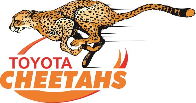 Emotional Farewell as Toyota Cheetahs Salute Six Departing Players