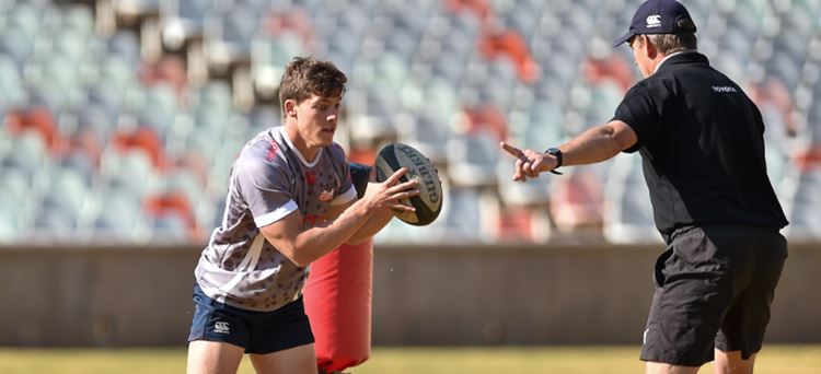 Botha is loving everything at the Toyota Cheetahs