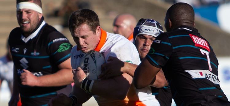 Toyota Cheetahs face Suzuki Griquas in semi-final