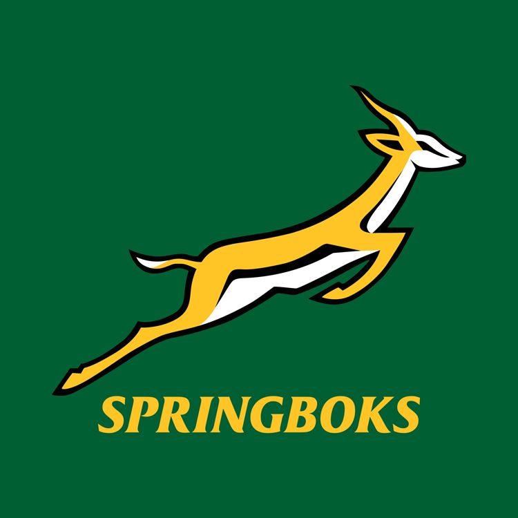 Springbok milestone for De Allende as Morne Steyn makes a comeback