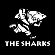 Cell C Sharks