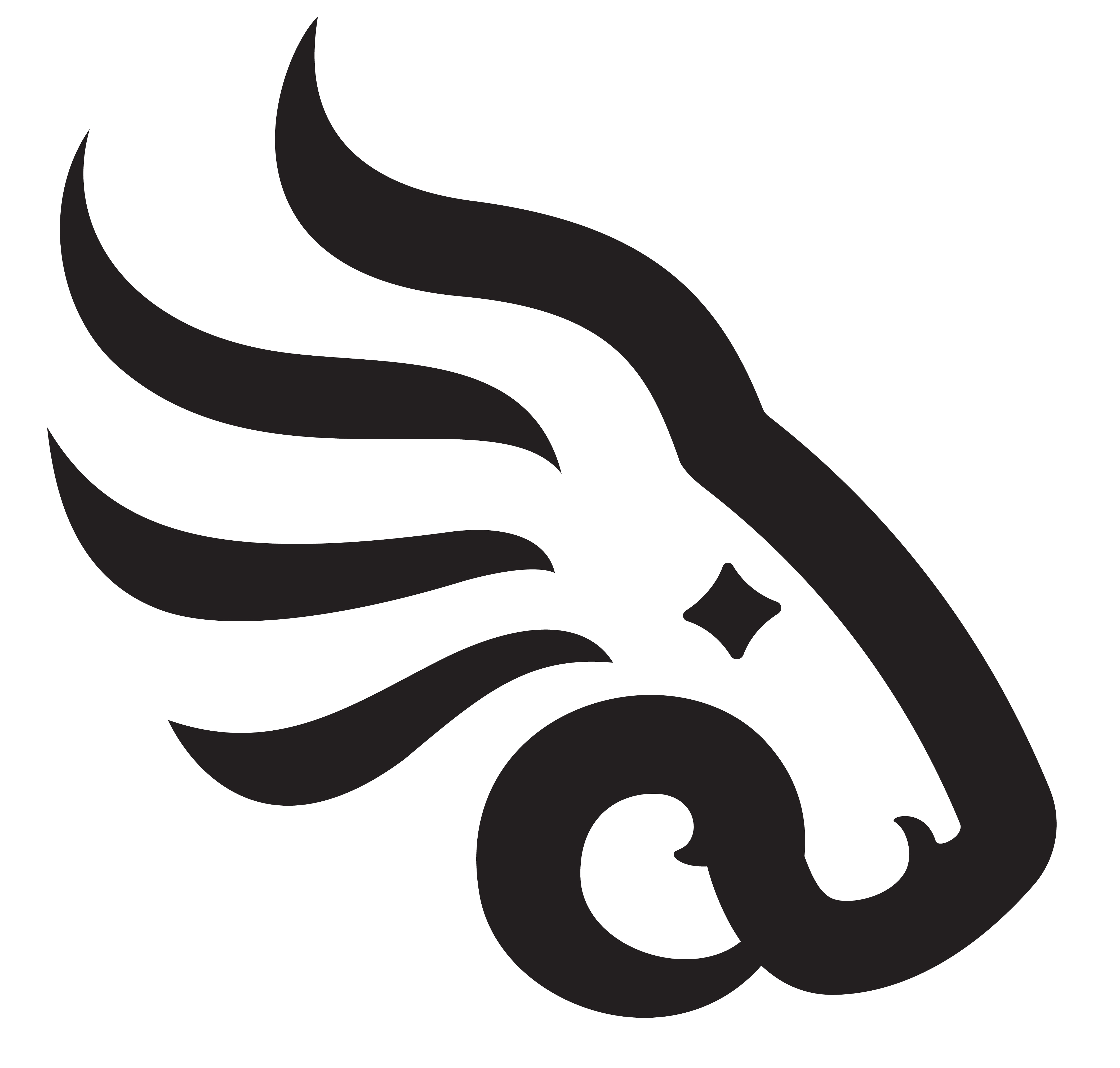 Black Lion