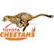 Toyota Cheetahs