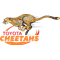Toyota Cheetahs