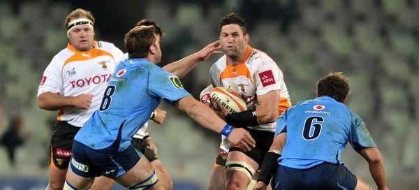 Cheetahs krap lekker kop oor losvoorspelers