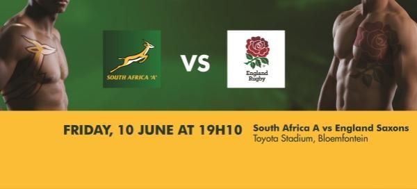 Johan Ackermann to coach SA ‘A’ team against England Saxons